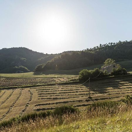 Agriturismo L'Antico Frutto بريميلكوري المظهر الخارجي الصورة