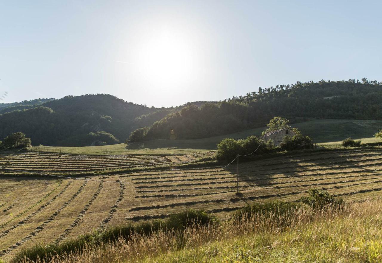 Agriturismo L'Antico Frutto بريميلكوري المظهر الخارجي الصورة