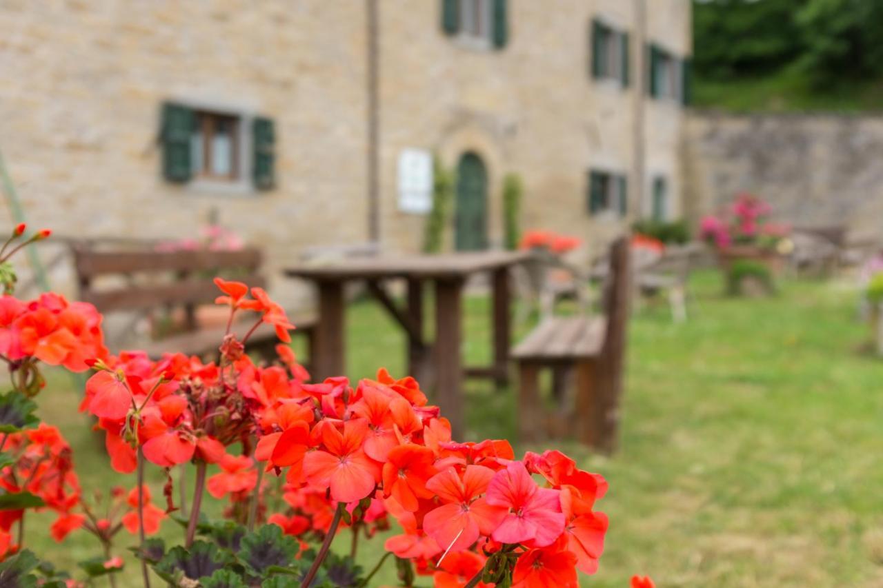 Agriturismo L'Antico Frutto بريميلكوري المظهر الخارجي الصورة