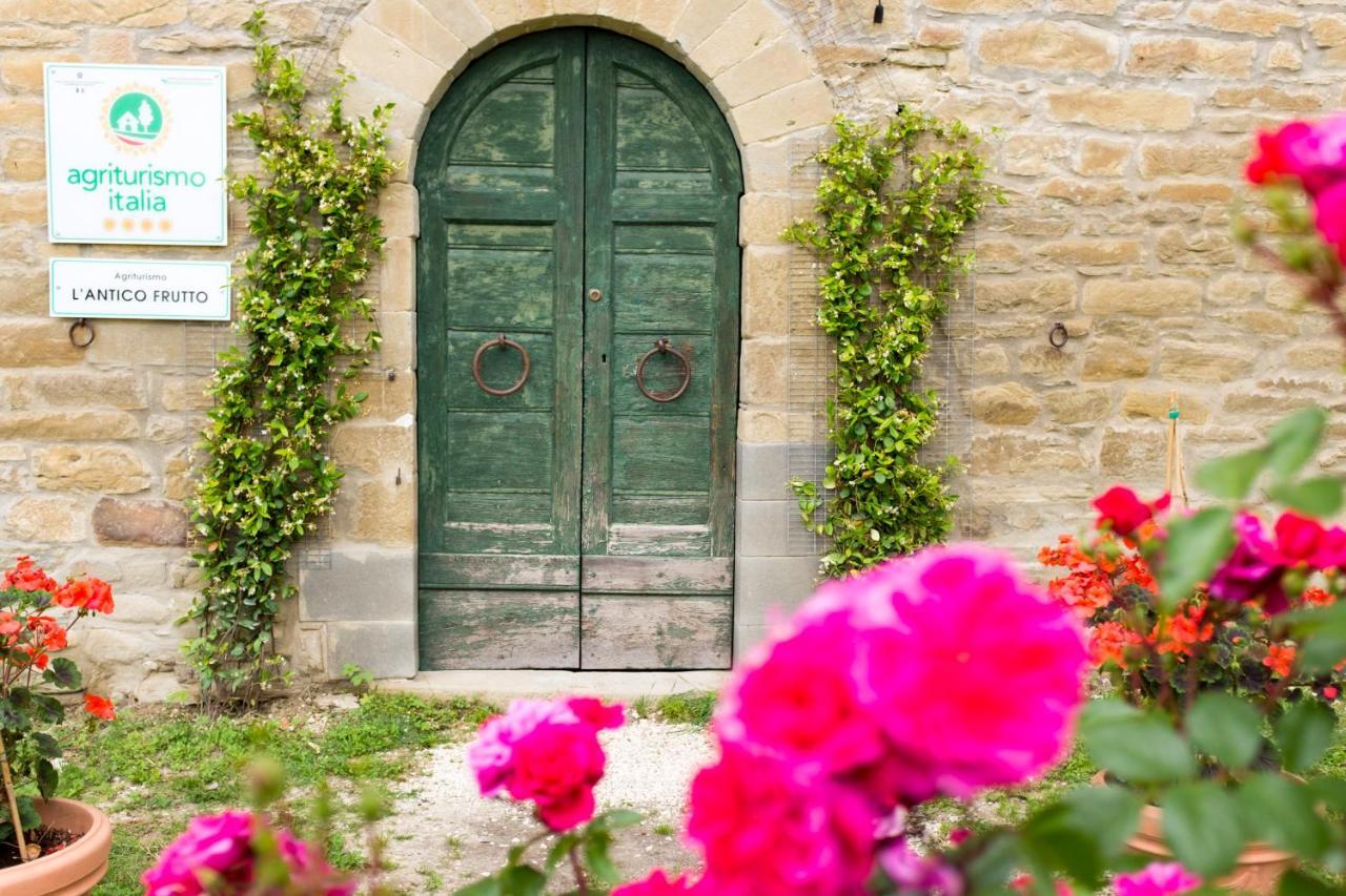 Agriturismo L'Antico Frutto بريميلكوري المظهر الخارجي الصورة